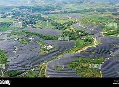 Image result for Xinjie Town China Solar Panels