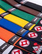 Image result for Kyokushin Karate Black Belt