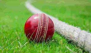 Image result for How to Bowl in Cricket