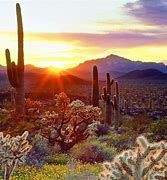 Image result for Arizona certifies