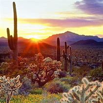 Image result for Arizona Soft Watercolors