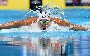 Image result for Olympic Swimming