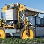 Image result for Waxberry Picking Robot