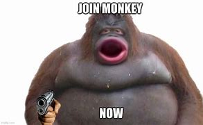 Image result for Dank Monkey Memes