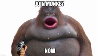 Image result for A Monkey Meme