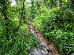 Image result for Macungie Park