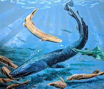 Image result for Argentina Largest Dinosaur Fossil