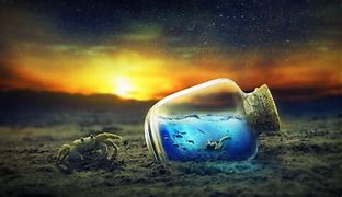 Image result for Underwater HD Wallpaper