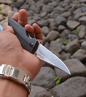 Image result for Elmax Outdoor Knife