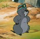 Image result for Gopher Winnie-the-Pooh