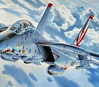 Image result for F-14 Painting