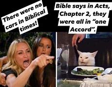 Image result for women screaming at cats memes