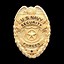 Image result for Army Military Police Badge