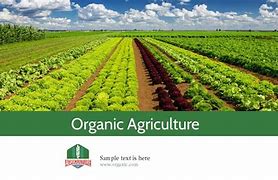 Image result for Free Farmers Market PowerPoint Themes
