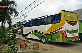 Image result for Tinggi Bus