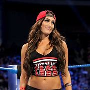 Image result for WWE Meet Nikki Bella