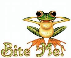 Image result for Hot Frog Funny