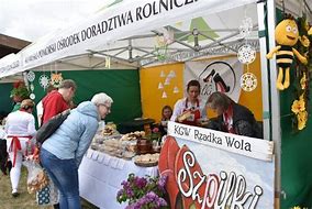 Image result for rzadka_wola