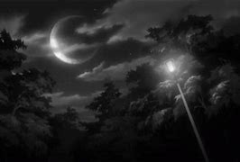 Image result for Dark Night Moon Nature