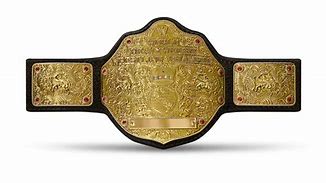 Image result for WWE Heavyweight Champion