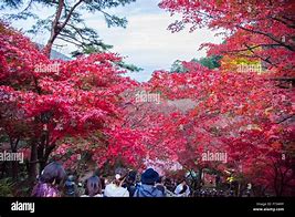 Image result for Kanagawa Prefecture Japan