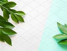 Image result for Pastel Leaves Background