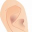 Image result for Ear Cartoon Png