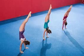 Image result for Do Gymnastics
