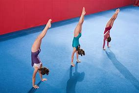 Image result for Gymnastics