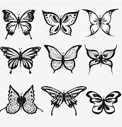 Image result for Butterfly Background Images HD