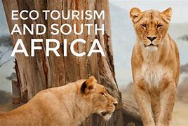 Image result for South Africa Ecotourism