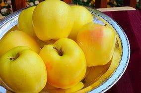 Image result for A picture of Golden Apples in a picture of silver