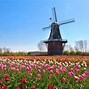 Image result for Holland Netherlands Scenery