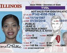 Image result for Chicago ID