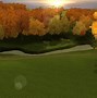 Image result for Tiger Woods Video Game