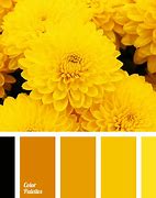 Image result for 2665 C Pantone Color