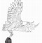 Image result for Eagle Outline Free Vector