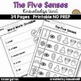 Image result for Free Five Senses Worksheet