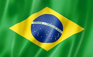 Image result for Brasil Flag Logo