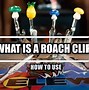 Image result for Raw Roach Clip