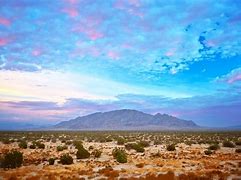 Image result for Sonoran Desert Landscape