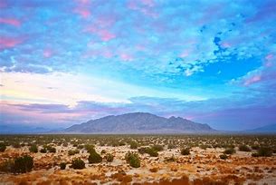 Image result for Sonoran Desert Images
