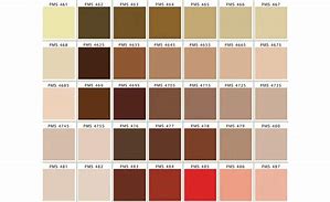 Image result for Brown Pantone Color