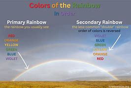 Image result for All Colors of the Rainbow