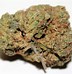 Image result for Red OG Kush