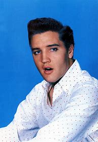Image result for Elvis 60s