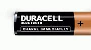 Image result for Duracell AA Batteries