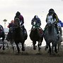 Image result for Breeders' Cup Classic Chart