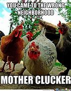 Image result for Chicken Meme