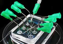 Image result for A Lab On a Chip